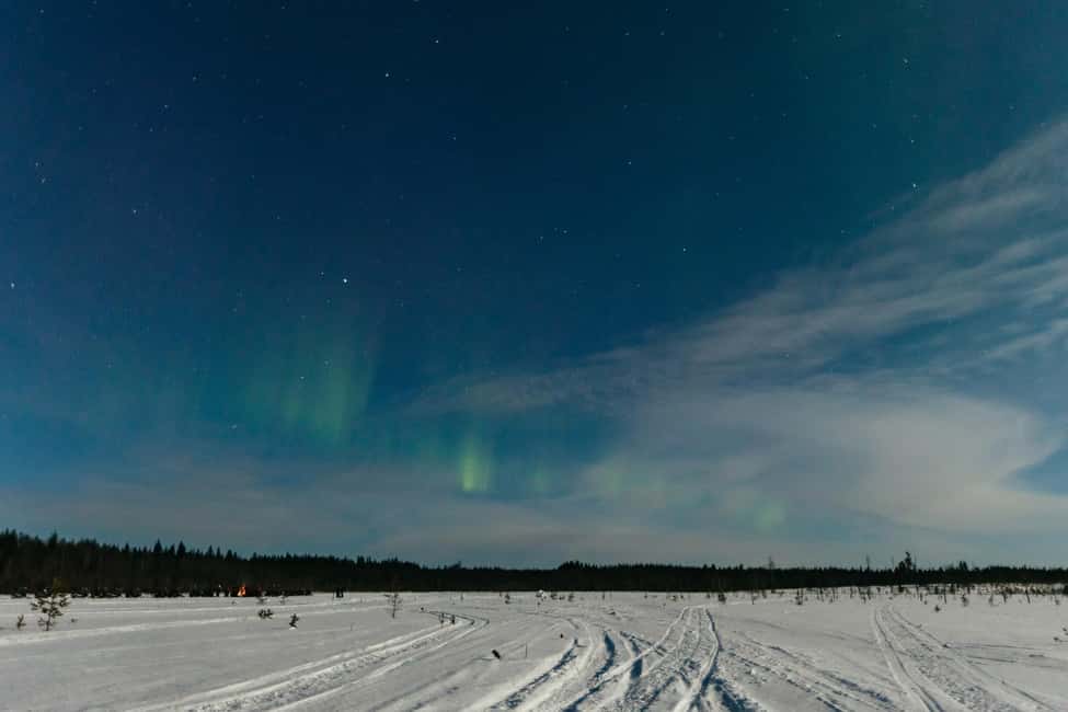 Rovaniemi: Northern Lights Family-Friendly Snowmobile Safari - The Warm Break in the Forest: Snacks, Hot Drinks, and That Cozy Pause