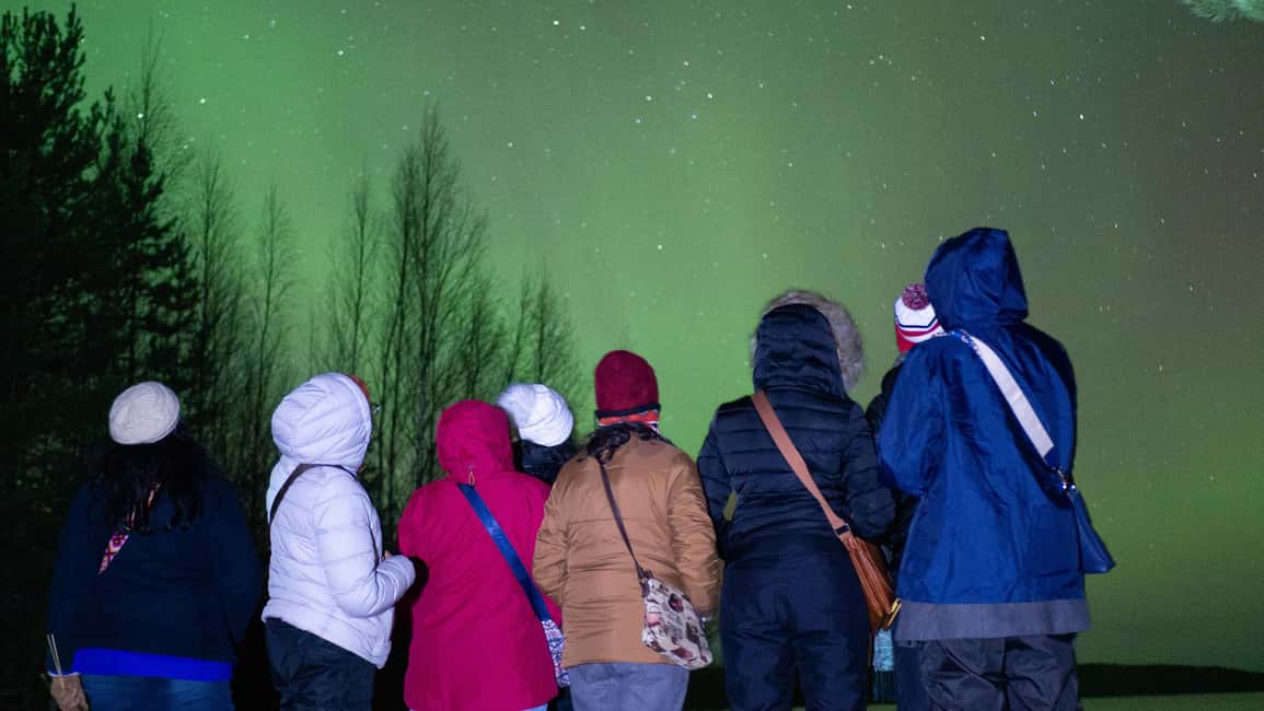 Rovaniemi: Northern Lights Guided Tour with Pro Camera - What to bring so you can actually enjoy the night