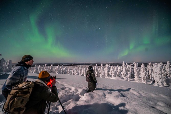 Rovaniemi Northern Lights Photography Small-Group Tour - Price and Value: Is $175.43 Worth It for Your Night?