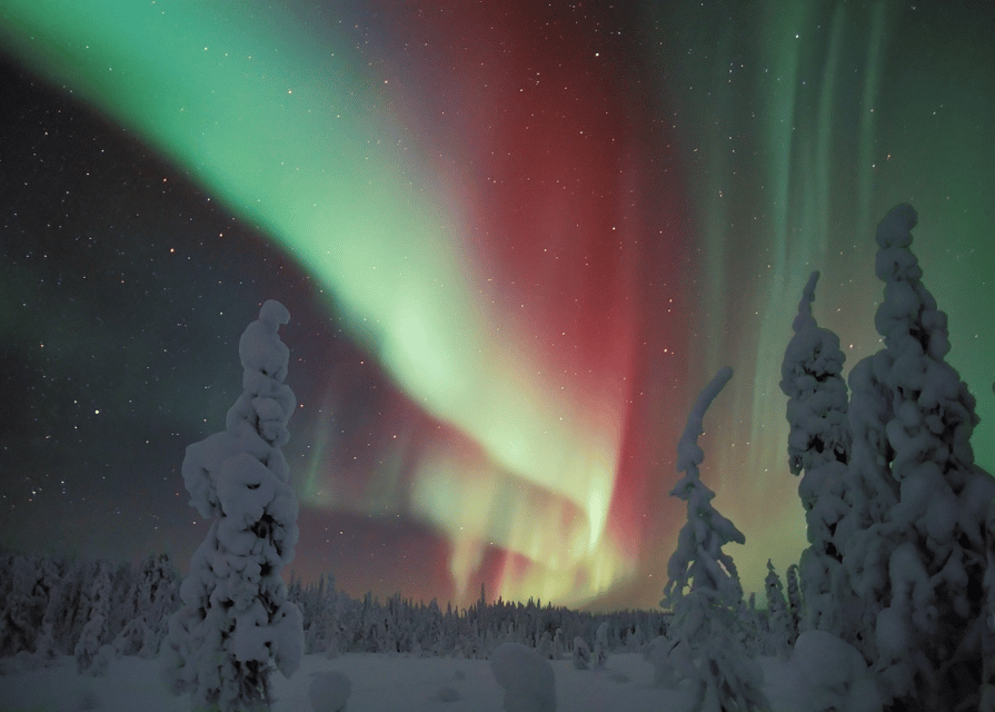Rovaniemi: Northern Lights Snowmobile Safari with Campfire - Key highlights you’ll feel right away