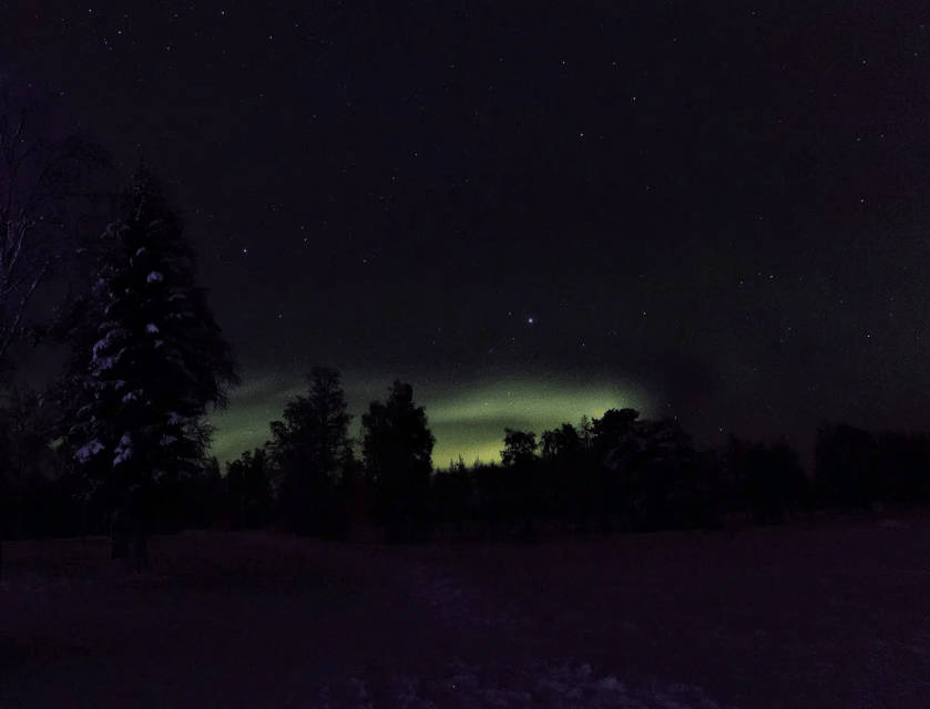 Rovaniemi: Northern Lights Snowmobile Safari with Campfire - The ride: how shared snowmobiles change the experience