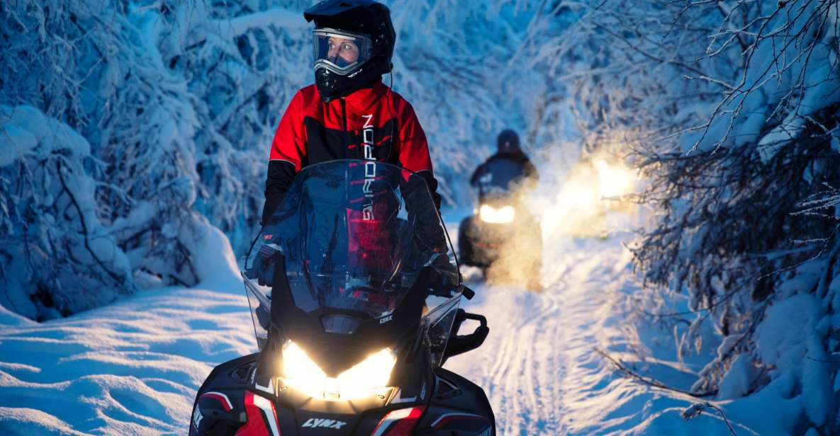 Rovaniemi: Northern Lights Snowmobile Tour - Campfire cooking, warm drinks, and why the break changes the whole night