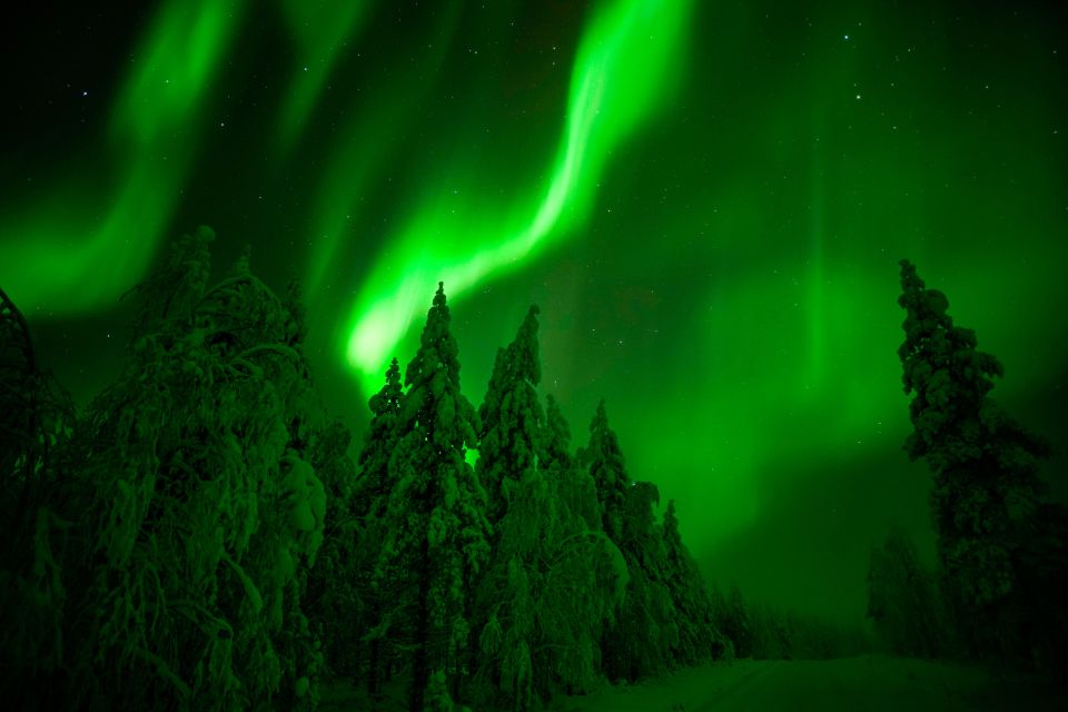 Rovaniemi: Northern Lights Snowmobile Tour - Price and value: is $218 fair for a 4-hour Arctic ride?