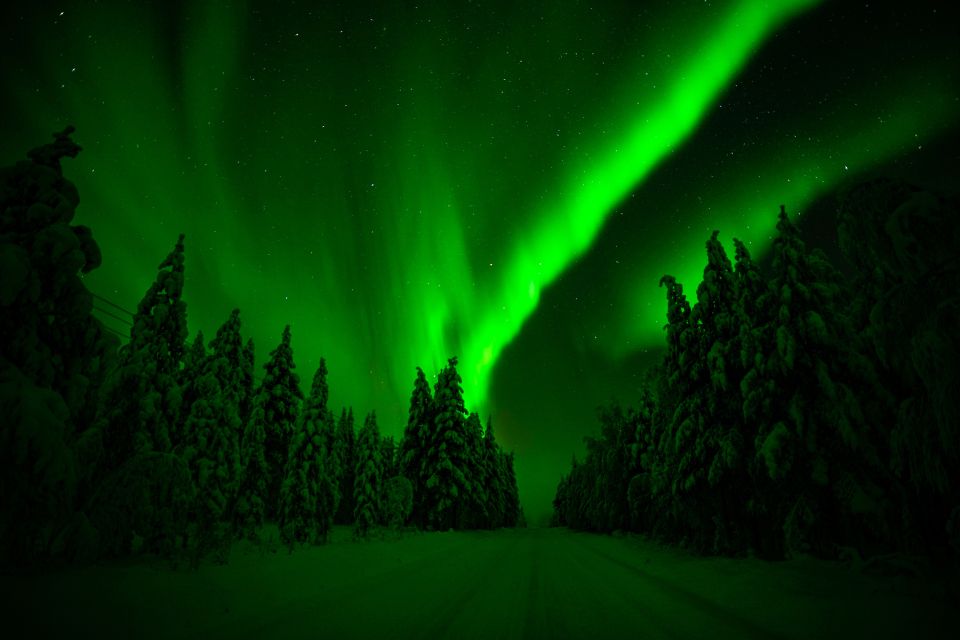 Rovaniemi: Northern Lights Snowmobile Tour - The 4-hour flow: from safety briefing to Taiga night riding