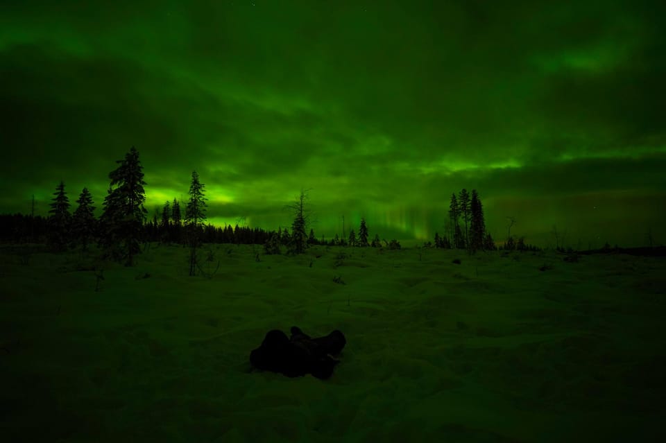 Rovaniemi: Northern Lights Tour at the Campfire - Key things to know before you go