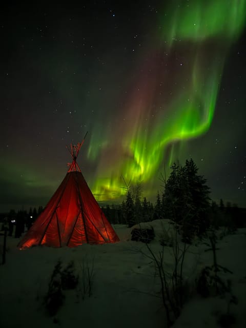 Rovaniemi: Northern Lights Tour at the Campfire - Languages: English and Finnish are the standard, other options are limited