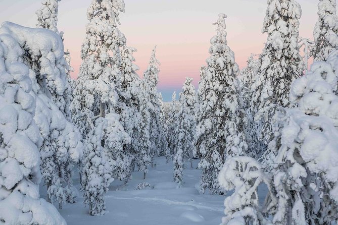 Rovaniemi photography tour - What the pro photographer actually does for you