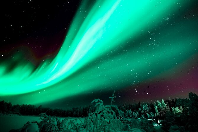 Rovaniemi: Private Aurora Tour with Guaranteed Sightings - What $1,691 Buys Your Group (And When It’s Worth It)