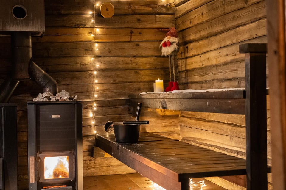Rovaniemi: Private Sauna and Ice Swimming Tour with Snacks - Ice Swimming and the Cold-Plunge Shock, Explained Simply