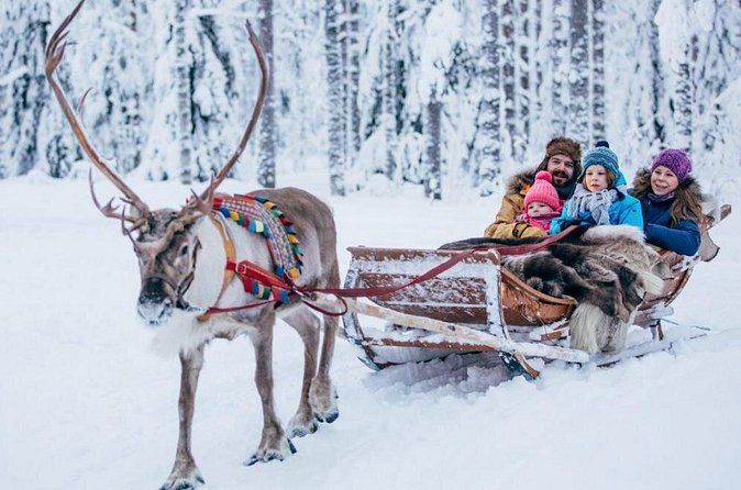 Rovaniemi Private Transfer from Rovaniemi city centre to Rovaniemi airport - Reliability: what to expect if plans don’t go perfectly