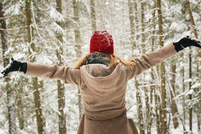 Rovaniemi: Private Winter Wonderland Photoshoot Tour - How the Photographer Works: Tailored Poses in Arctic Conditions