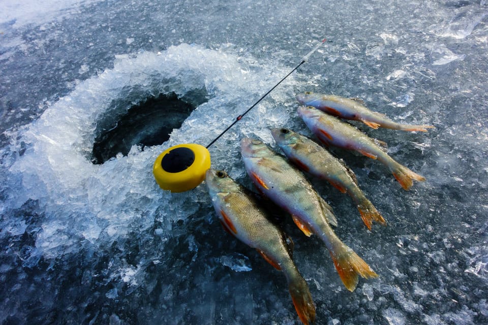 Rovaniemi: Quad Bike Ride and Ice Fishing - What Happens If You Catch Nothing
