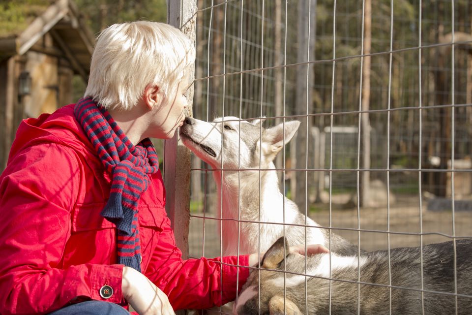Rovaniemi: Quad Bike Safari, Reindeer & Husky Farm Visit - Husky and Reindeer Farm Visit: Petting, Photos, and Breeding Stories