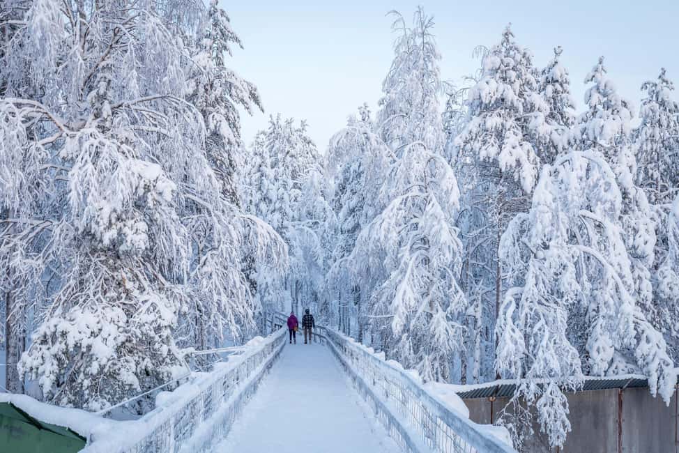 Rovaniemi: Ranua Zoo Wildlife Park Tour with hotel pickup - Price and value: is $135 worth it for Ranua from Rovaniemi?