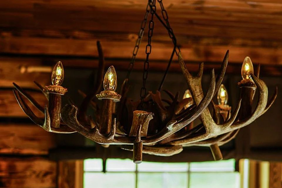 Rovaniemi: Reindeer Farm Visit in the Summer - Key points before you go