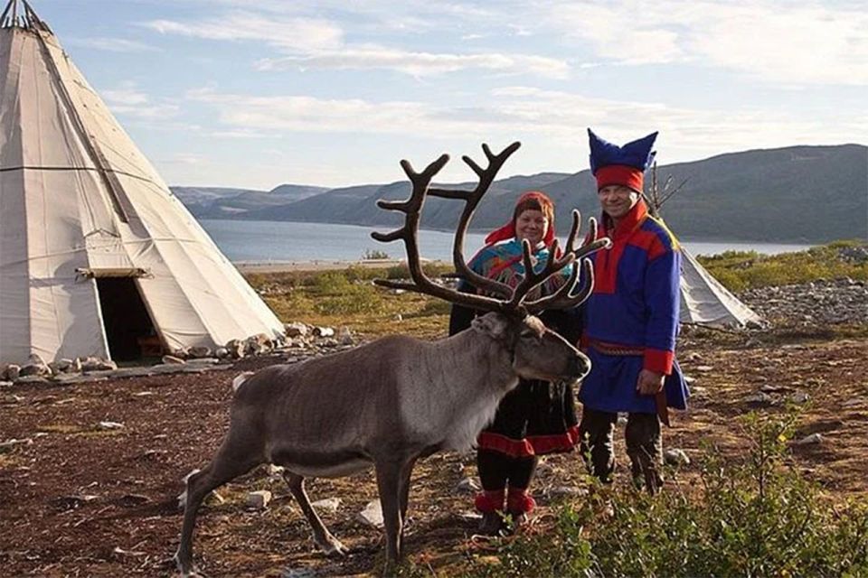 Rovaniemi: Reindeer Farm Visit in the Summer - Duration and pacing: Why 2.5 hours works well
