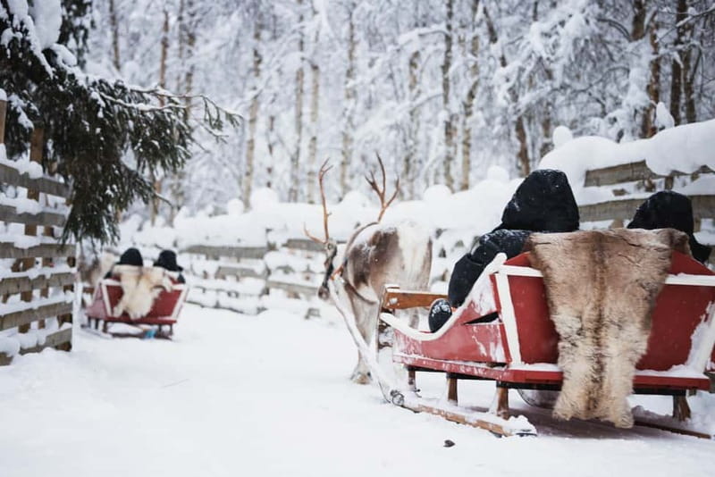 Rovaniemi: Reindeer, Huskies & Santa Claus Village - Morning Pickup and Getting Warm: Transfers and Winter Gear