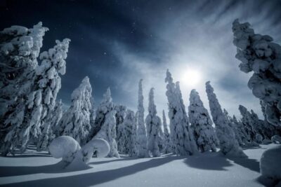 Rovaniemi: Reindeer Safari and Northern Lights Tour - The 2.5-Hour Flow: What Happens From Pickup to Cottage