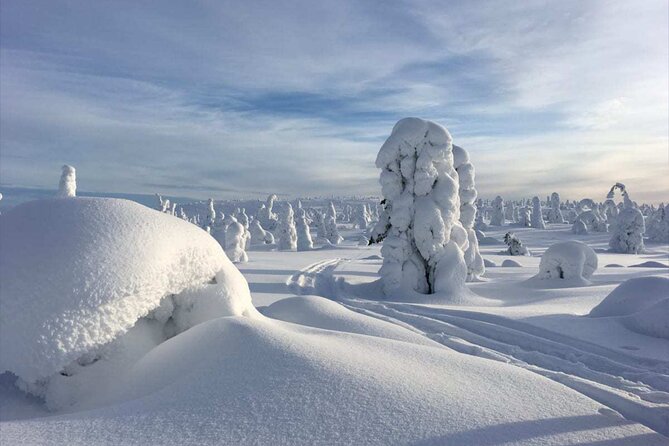Rovaniemi: Riisitunturi Full-Day Wilderness Adventure & BBQ - Key highlights