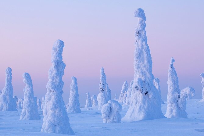 Rovaniemi: Riisitunturi Full-Day Wilderness Adventure & BBQ - Riisitunturi National Park: Tykky Snow Sculptures and Arctic Viewpoints