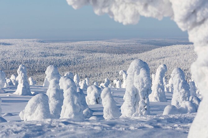 Rovaniemi: Riisitunturi Full-Day Wilderness Adventure & BBQ - Guided by People Who Know Lapland (and Robin’s Kind of Magic)