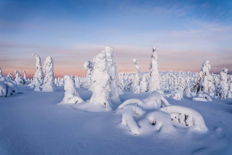 Rovaniemi: Riisitunturi National Park with Pro Photos & BBQ - Key Things I’d Book This For