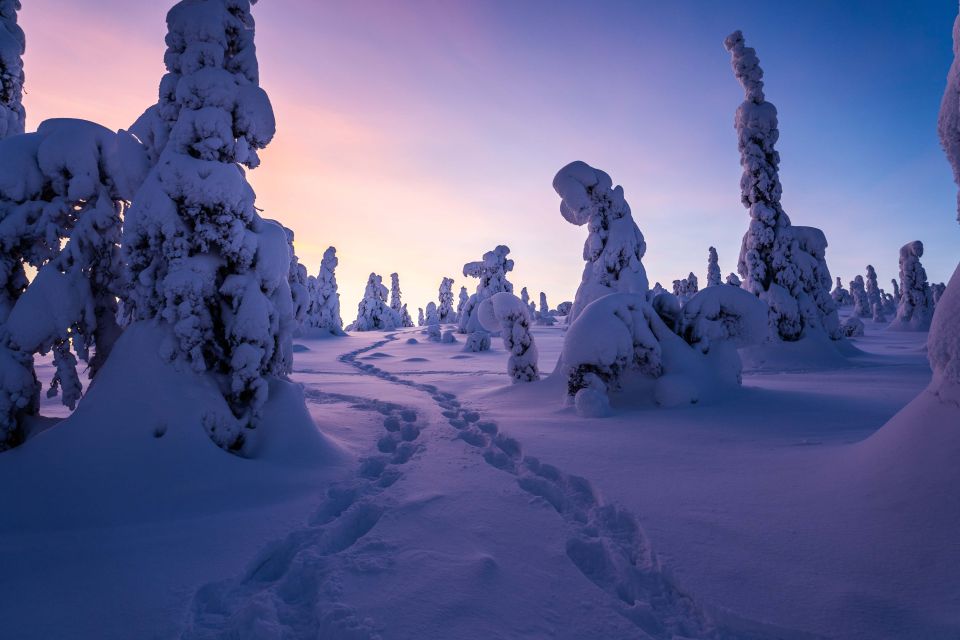 Rovaniemi: Riisitunturi National Park with Pro Photos & BBQ - Weather Reality: Cloudy Days Still Work