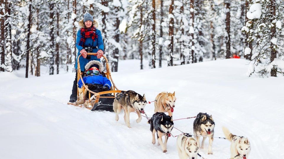 Rovaniemi: Santa Claus Village + Husky & Reindeer Sled Ride - Why This 4-Hour Santa and Sled Combo Works in Rovaniemi