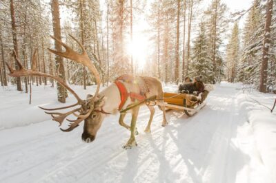 Rovaniemi: Santa Claus Village + Husky & Reindeer Sled Ride - Santa Claus Village: Guided Tour, Photos With Santa, and the Post Office Moment