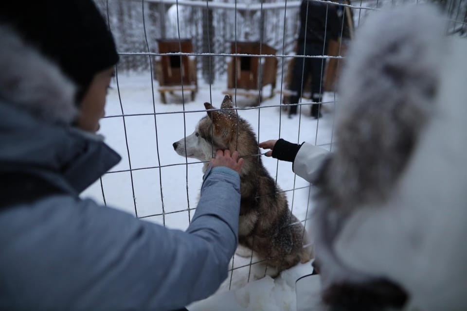 Rovaniemi: Santa Claus Village Tour Huskies & Reindeer ride - Key Highlights Worth Marking on Your Map