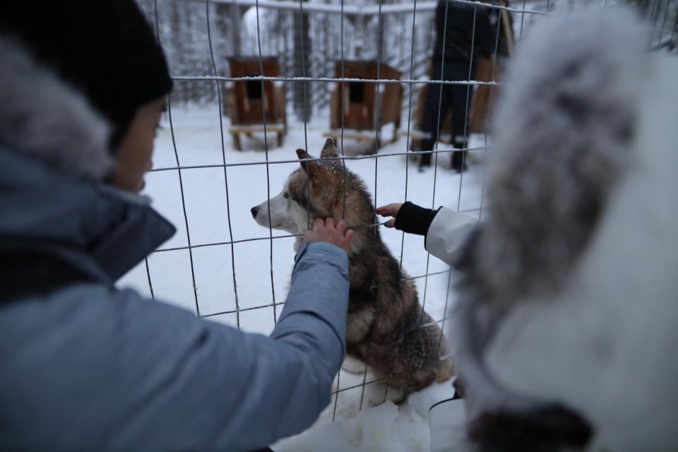 Rovaniemi: Santa Claus Village Tour Huskies & Reindeer Visit - Quick hits before you go