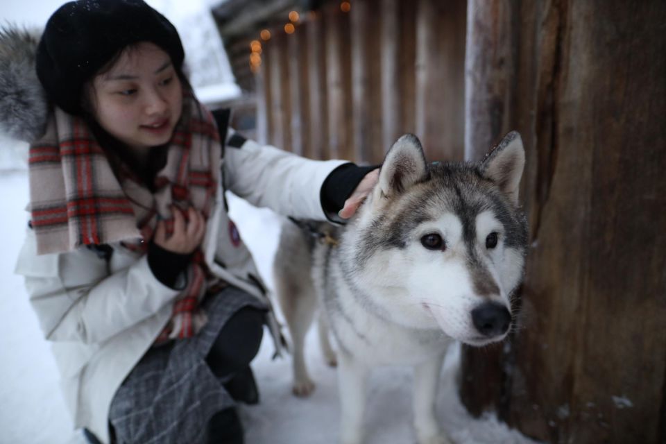 Rovaniemi: Santa Claus Village Tour Huskies & Reindeer Visit - Rovaniemi pickup and the ride to Santa’s Village