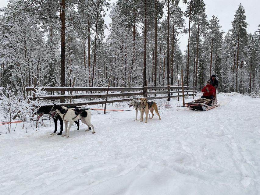 Rovaniemi: Santa Claus Village Tour Huskies & Reindeer Visit - What’s not included (and what that means for your day)