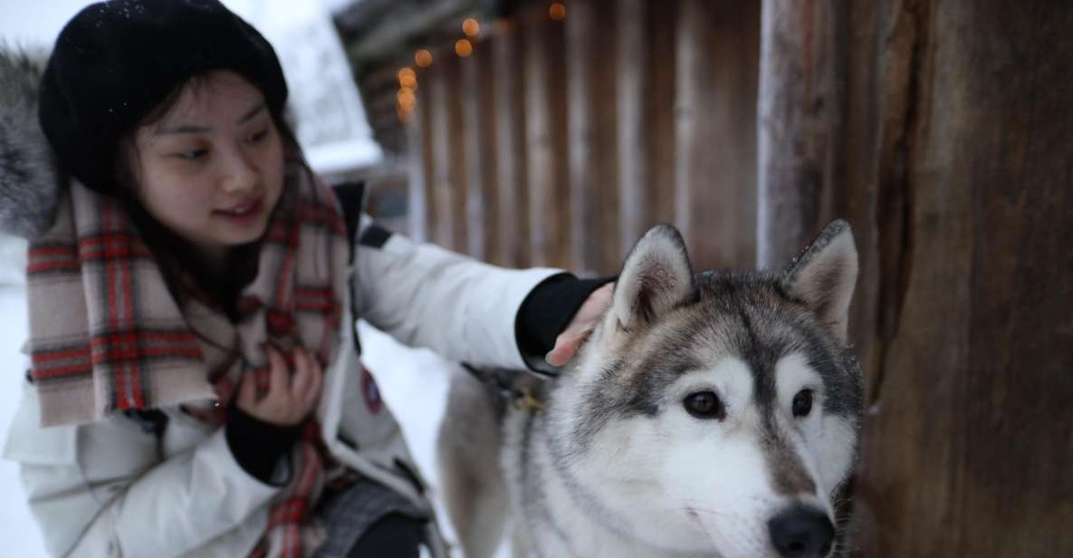Rovaniemi: Santa Claus Village Tour Huskies & Reindeer Visit - Santa Claus Village: meeting Santa and sending your postcard