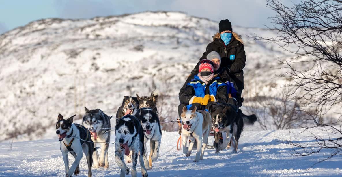Rovaniemi: Santa's Village, Husky, & Reindeer Sled Ride - Key things to know before you go