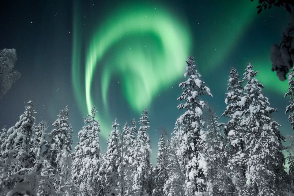 Rovaniemi: Search for Northern Lights Snowmobiling Trip - Pickup and Drop-Off Around Rovaniemi: How to Avoid the Usual Winter Headaches