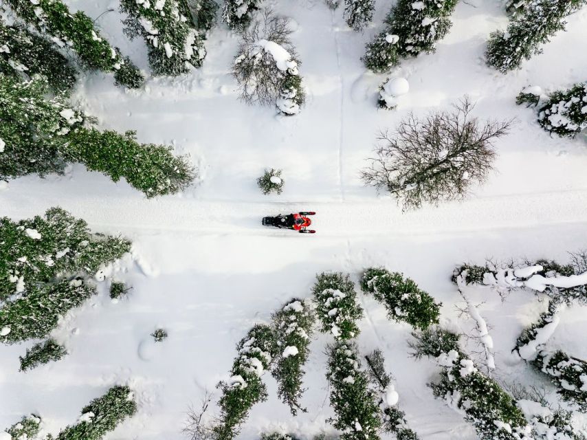 Rovaniemi: Snowmobile Safari Adventure - Rovaniemi snowmobile safari basics: built for your comfort