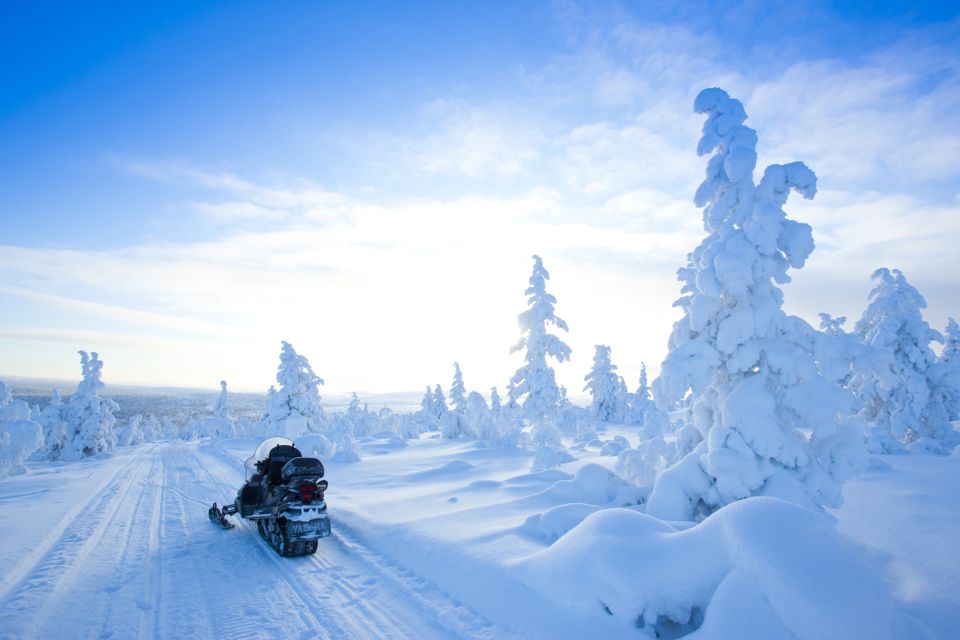 Rovaniemi: Snowmobile Safari in the Arctic Circle - Two Hours in the Arctic Circle: Forest Trails, Panoramic Views, and Photo Stops