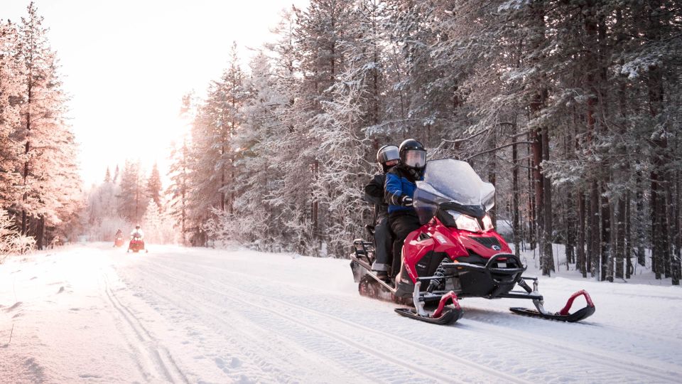 Rovaniemi: Snowmobile Safari into the Arctic Circle Forest - Key things to know before you go