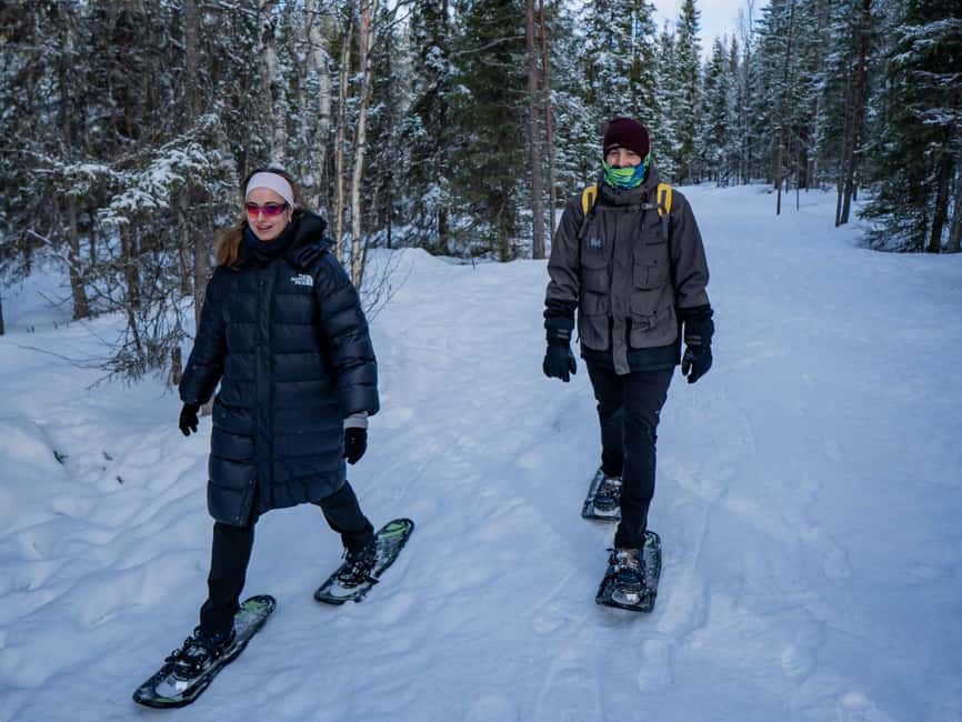 Rovaniemi: Snowshoe Adventure at Vikaköngäs & Barbeque - Vikaköngäs snowshoes: how the 3-hour experience actually flows