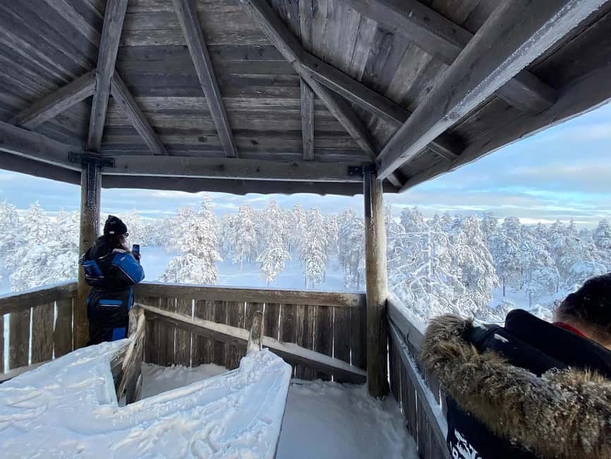 Rovaniemi: Snowshoe Adventure at Vikaköngäs & Barbeque - Through snowy forests and across frozen lakes: what you’ll see and feel