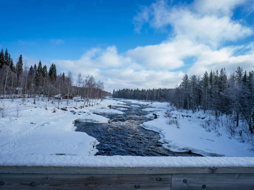Rovaniemi: Snowshoe Adventure at Vikaköngäs & Barbeque - Who this tour suits best (and who may want another option)