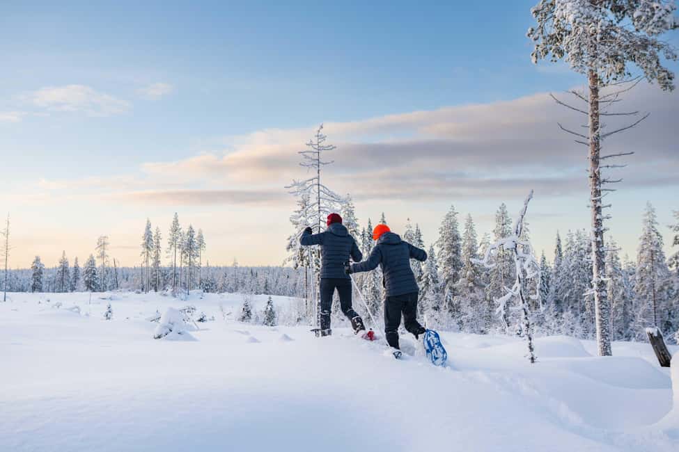 Rovaniemi: Snowshoe Wilderness Adventure - Key highlights you’ll actually care about