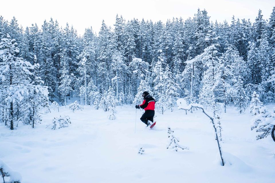 Rovaniemi: Snowshoe Wilderness Adventure - Why snowshoeing in Rovaniemi feels different