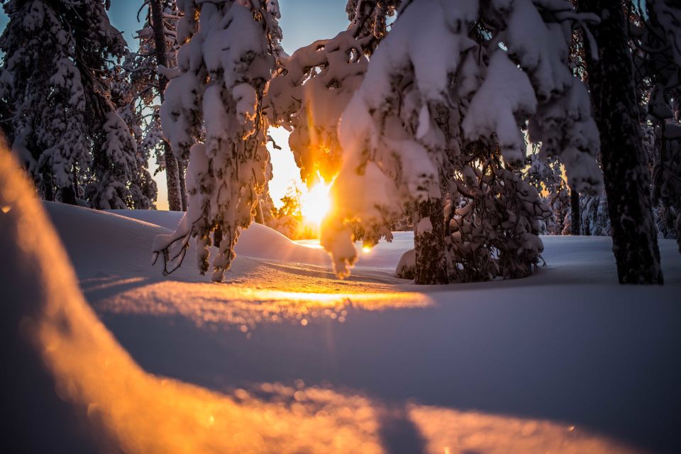 Rovaniemi: Snowshoe Wilderness Adventure - Getting to the woods: what the minivan ride sets up