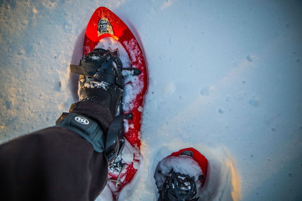 Rovaniemi: Snowshoe Wilderness Adventure - The snowshoe hike: deep-snow walking and real photo opportunities