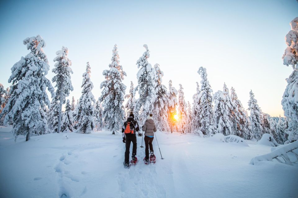 Rovaniemi: Snowshoe Wilderness Adventure - The photographer’s coaching: what you’ll learn and why it helps