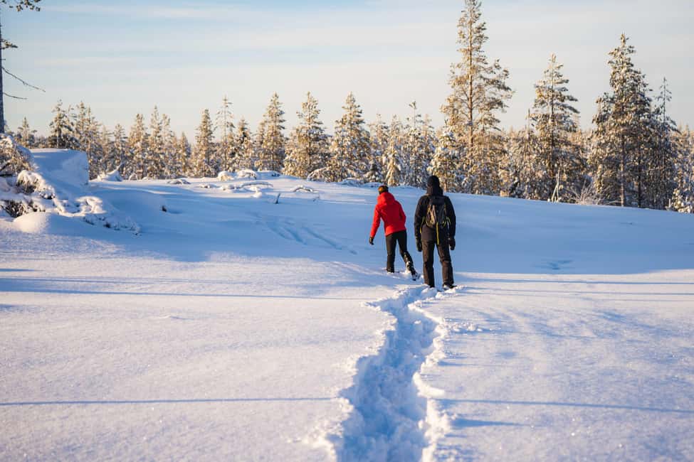 Rovaniemi: Snowshoe Wilderness Adventure - Clothing, boots, and effort: what to expect when it’s cold