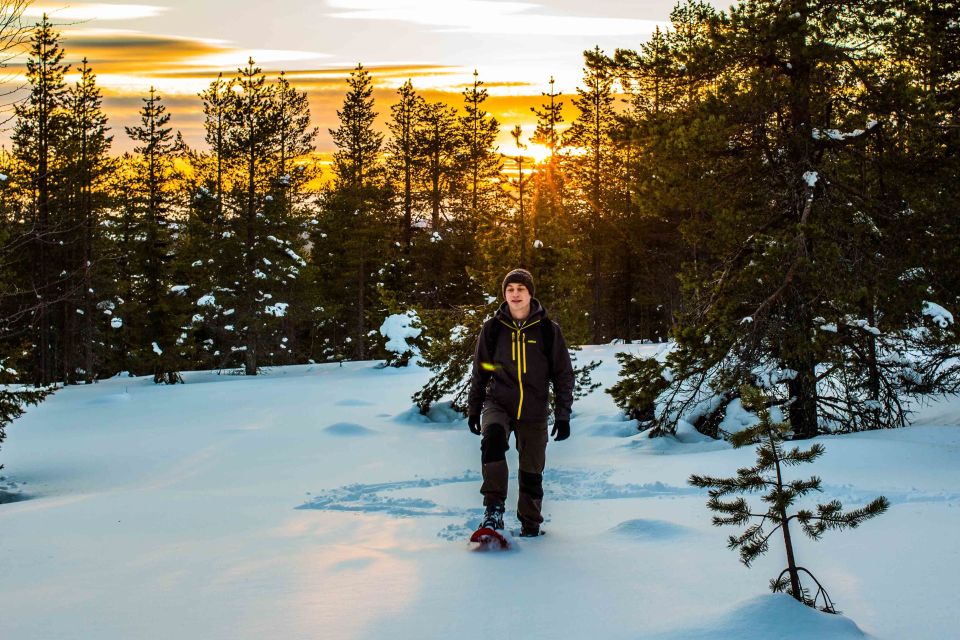 Rovaniemi: Snowshoe Wilderness Adventure - Duration and pacing: a 3-hour plan that doesn’t drag