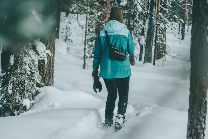 Rovaniemi: Snowshoeing in a magical snowy forest - Key things I’d watch for